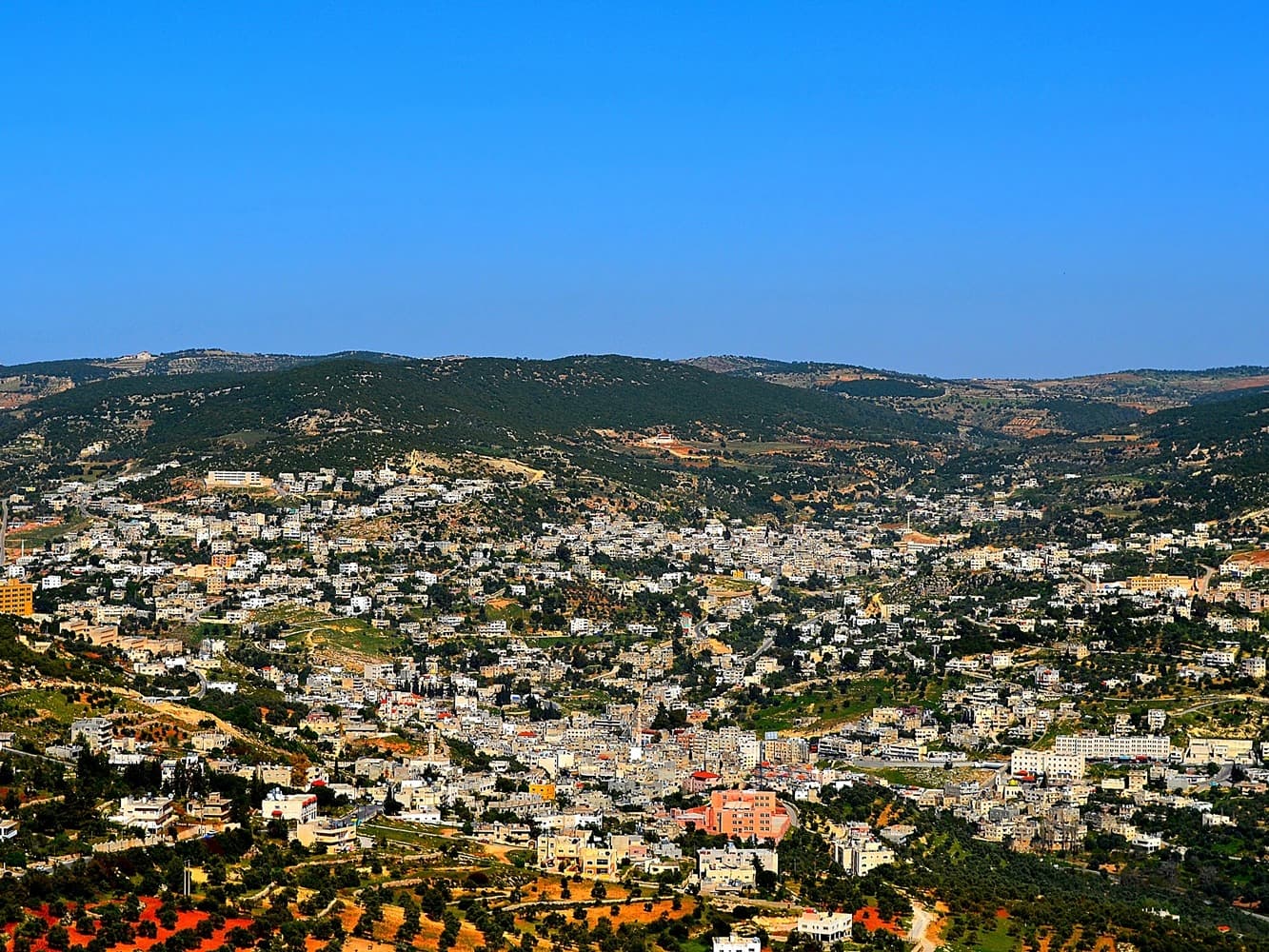 Ajloun Castle & Nature Day Tour