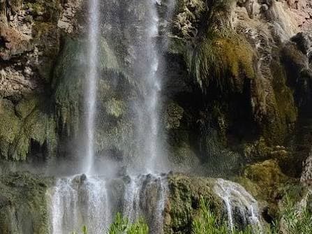 Ma'in Hot Springs Day Tour