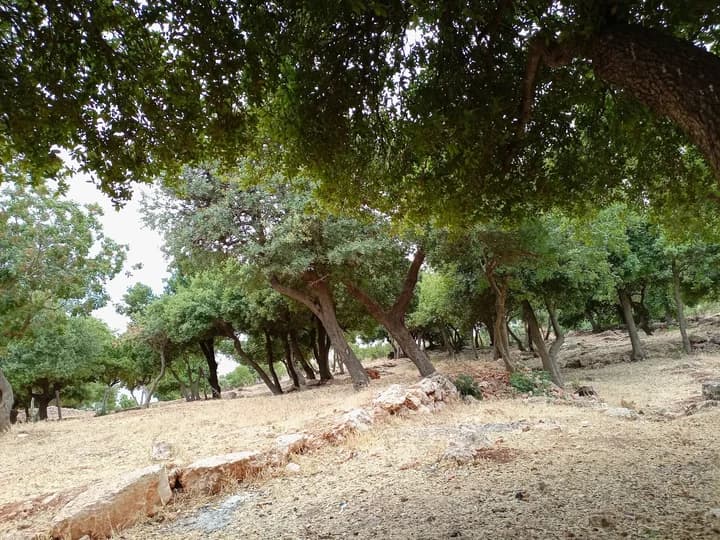 Ajloun – Ishtafina
